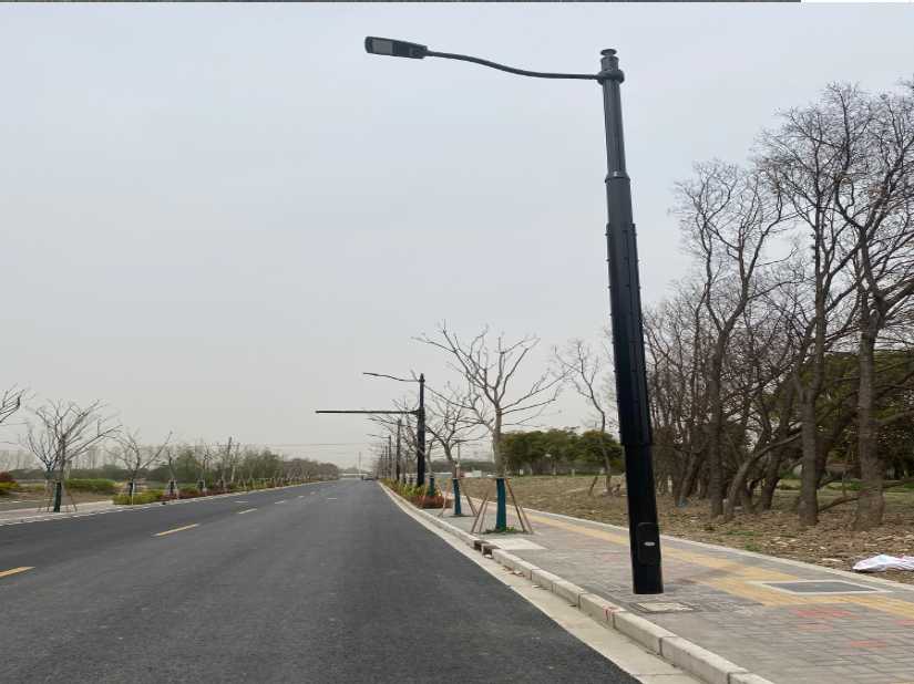 上海市上海综合杆 太阳能路灯工程